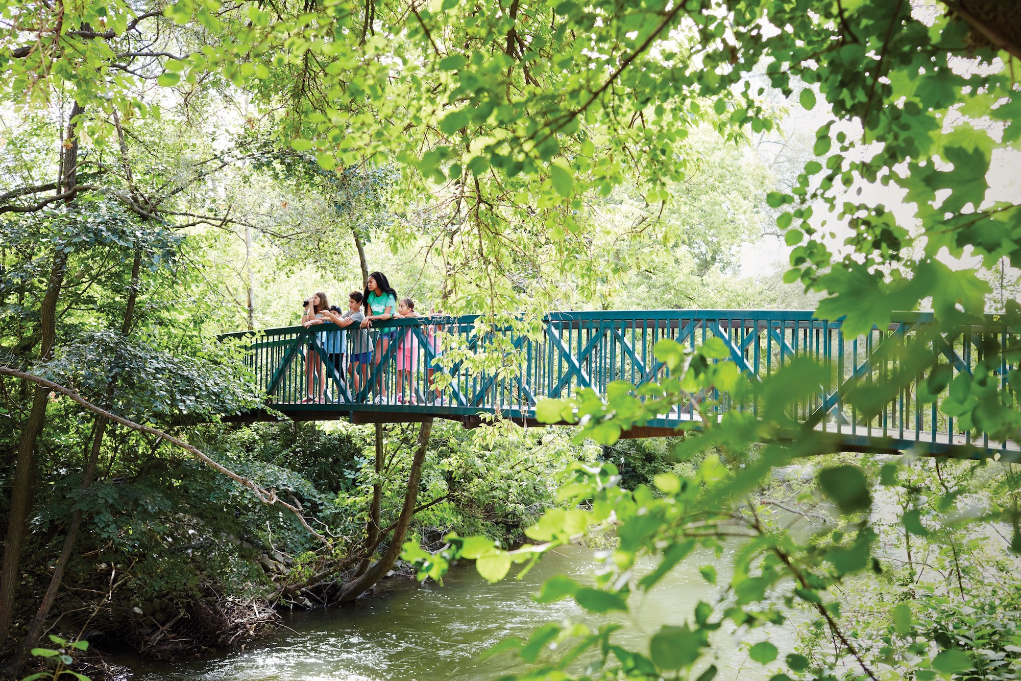 Bayview Glen Camp An Summer Awaits